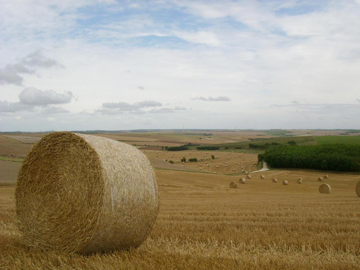 Gite Rural Le Bois Roger Widehem Zewnętrze zdjęcie